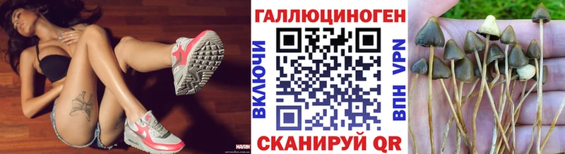 где можно купить наркотик  Нижневартовск  Галлюциногенные грибы Cubensis 